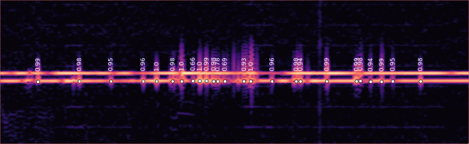 A spectrogram of a recording of two fish.